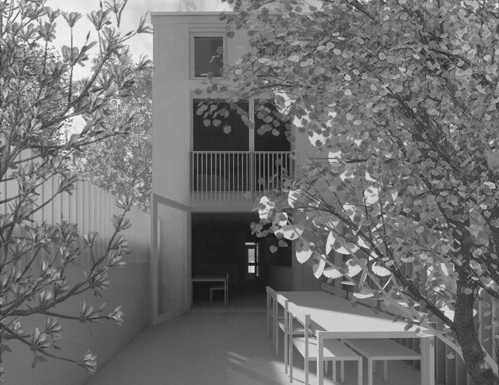 rear garden with trees copy